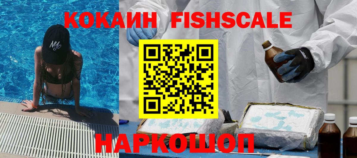 COCAIN Fish Scale  Вход с VPN  COCAIN  Звенигород  КОКАИН Перу 