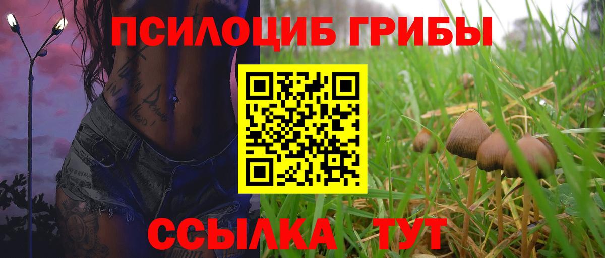 Галлюциногенные грибы Psilocybine cubensis Звенигород